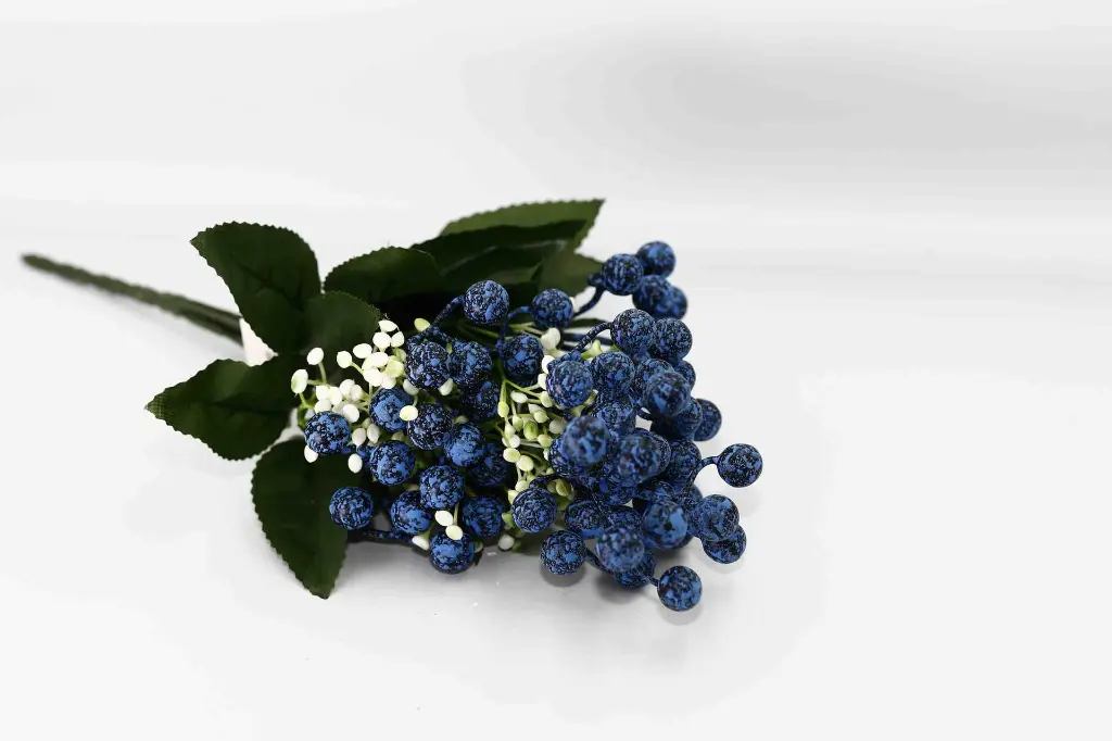 8597330108589-1.webp