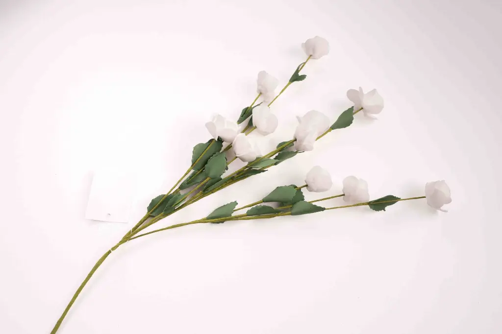 8597330077731a.webp