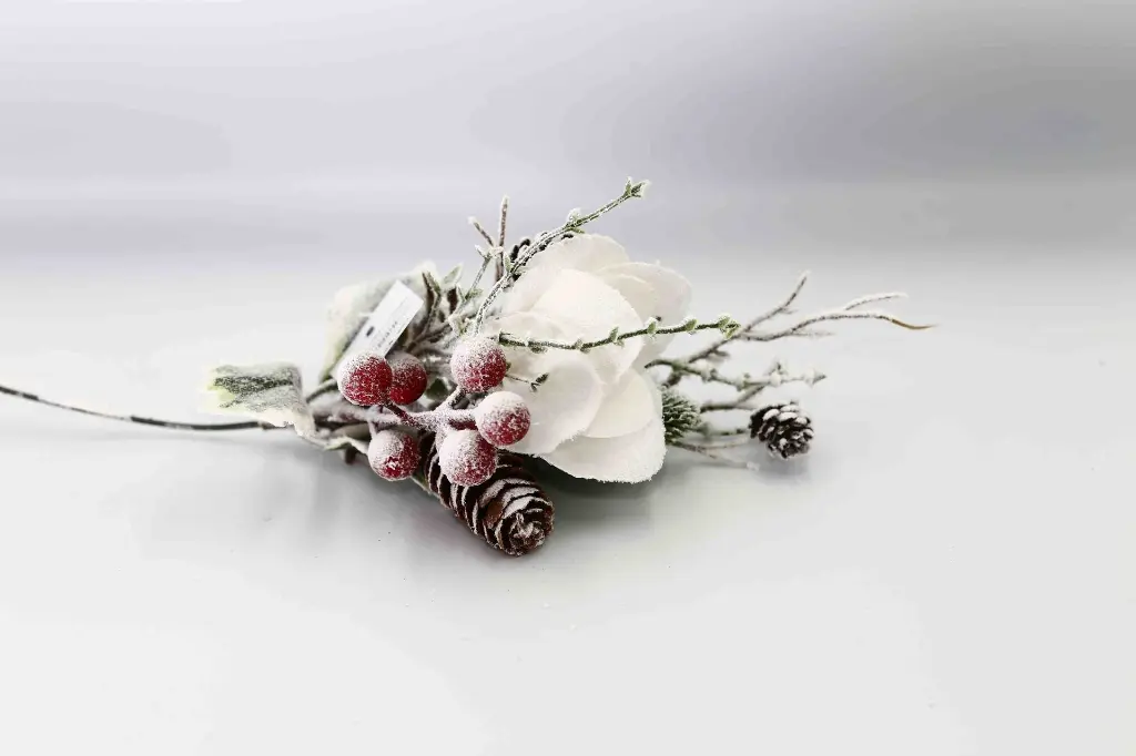 8597330105977-2.webp
