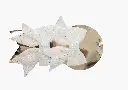 8597330107919a.webp