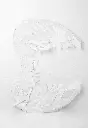 8597330065394a.webp
