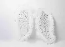8597330106844a.webp