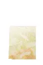 8597330051229c.webp