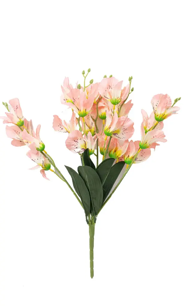 8597330046812f.webp