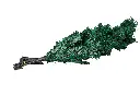 8597330035199b.webp