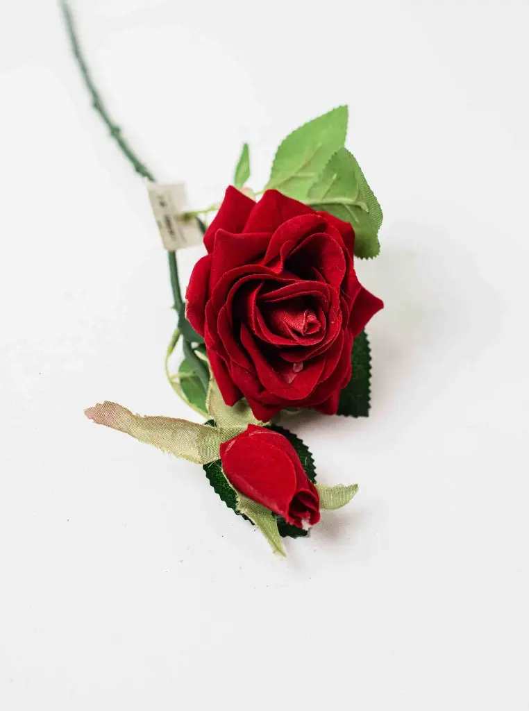 8597330004546a.webp