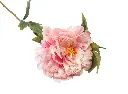 8597330068340a.webp