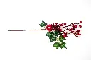 8597330106639b.webp
