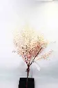 8597330106592-1.webp