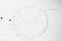 8599331700007c.webp