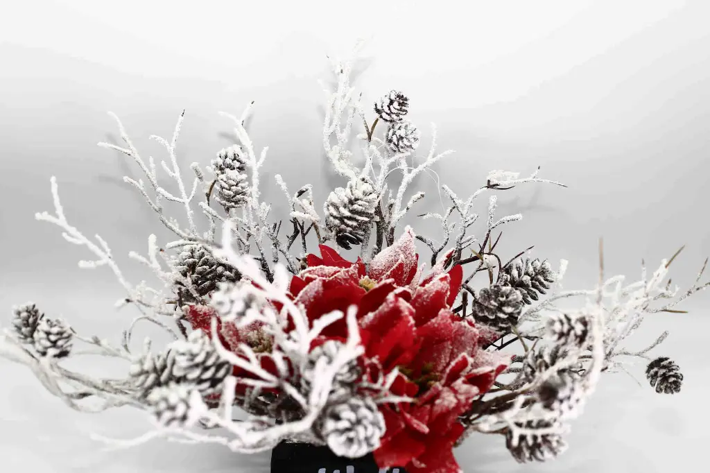 8597330106301-1.webp