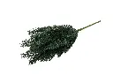8597330105496a.webp