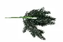 8597330105496c.webp