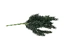 8597330105496b.webp