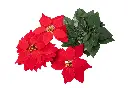 8597330109050a.webp