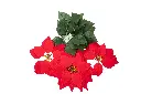 8597330109050b.webp