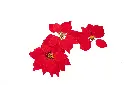 8597330109050c.webp