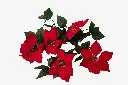 8597330109050b.webp
