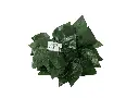 8597330109050a.webp