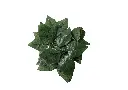 8597330109050b.webp