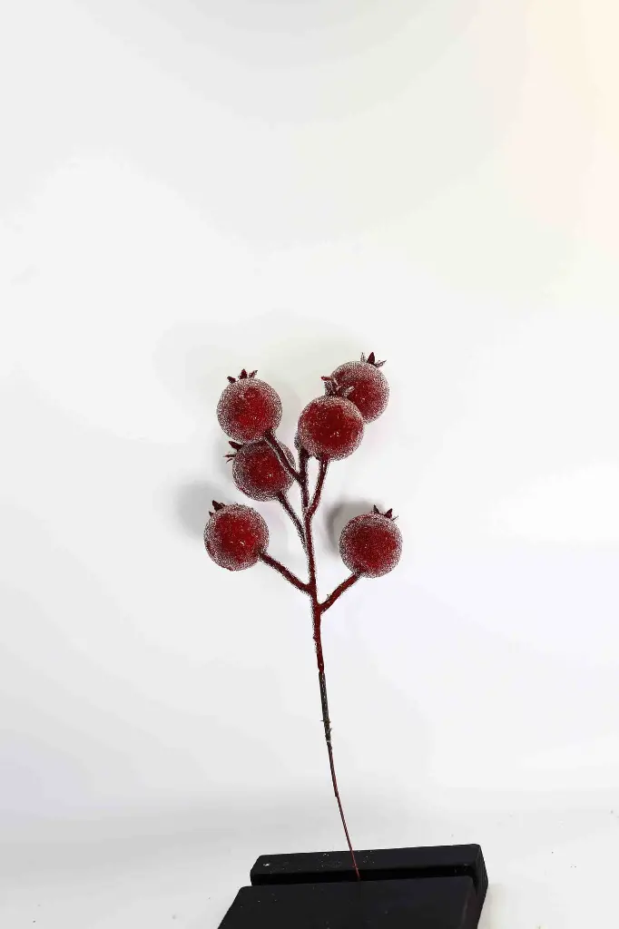 8597330108749-2.webp