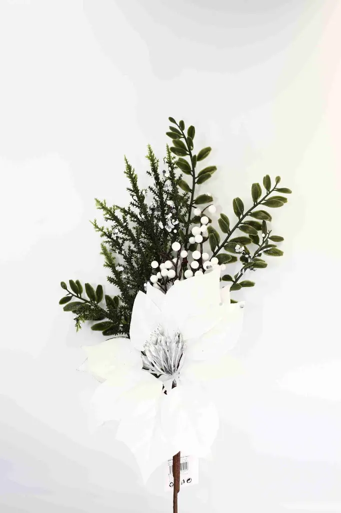 8597330105229-1.webp