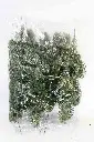 8597330105564.webp