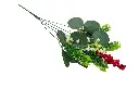8597330109029b.webp