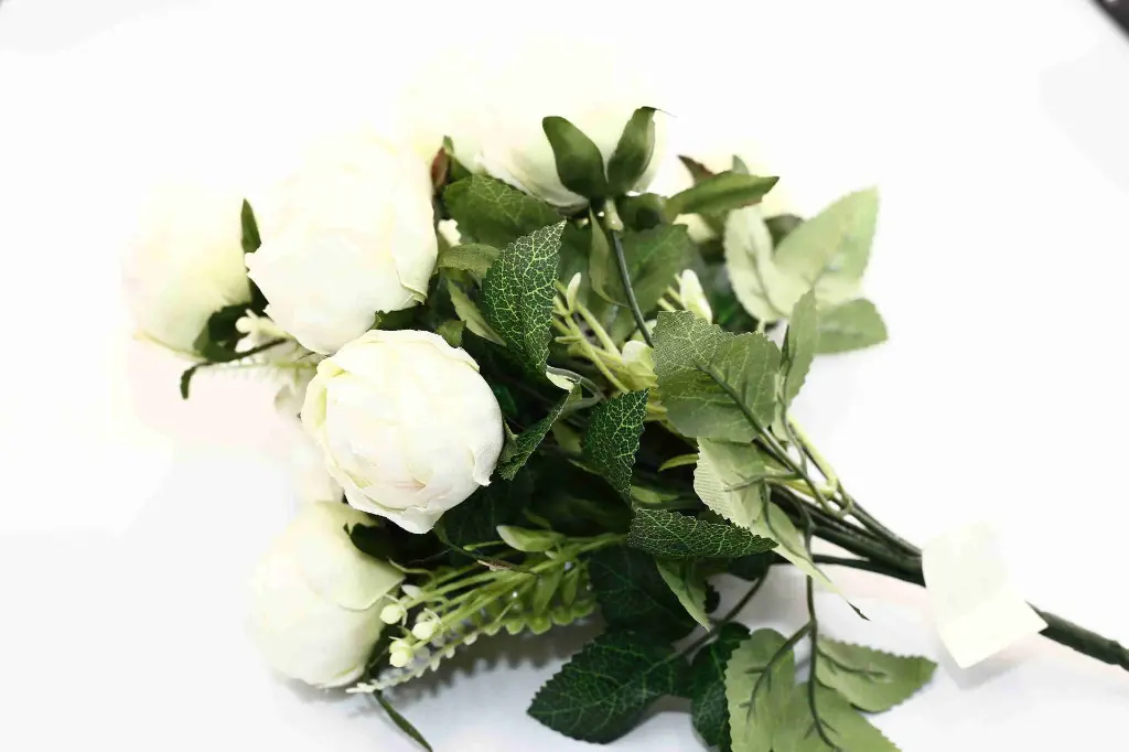 8597330068418-1.webp