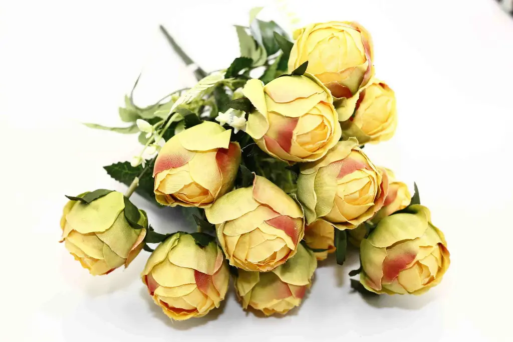 8597330068418-2.webp