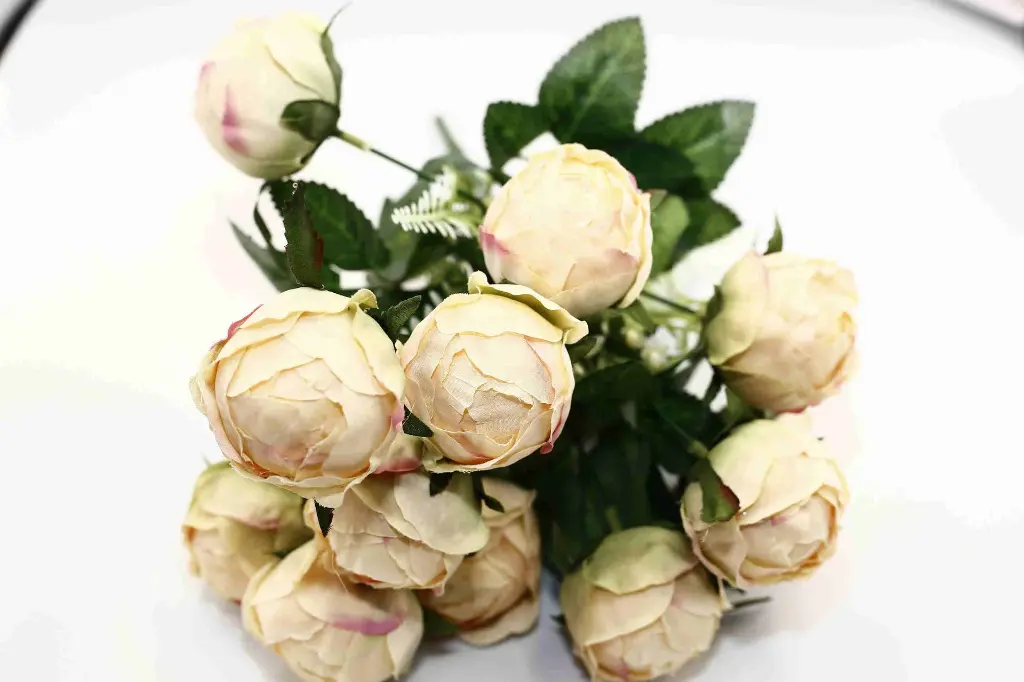 8597330068418-3.webp
