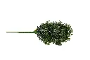 8597330105489a.webp