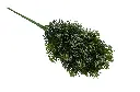 8597330105489b.webp