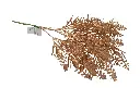 8597330108442b.webp