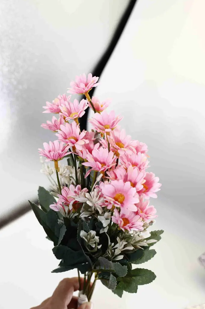 8568680000267-1.webp