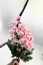 8568680000267-1.webp