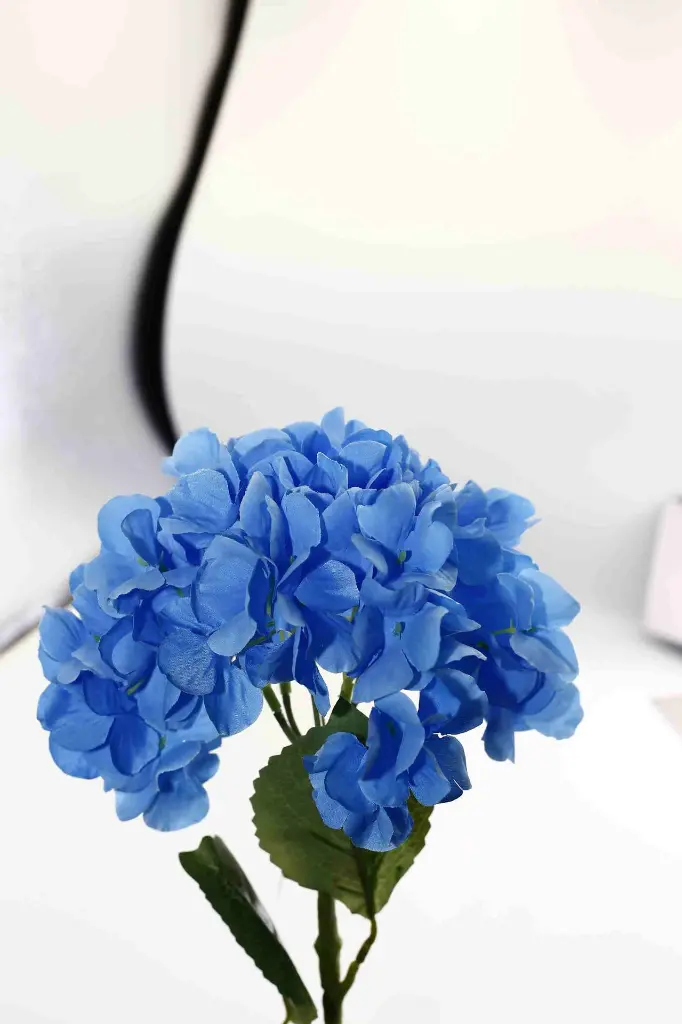 8597330003785-2.webp