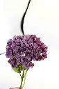 8597330003785-3.webp