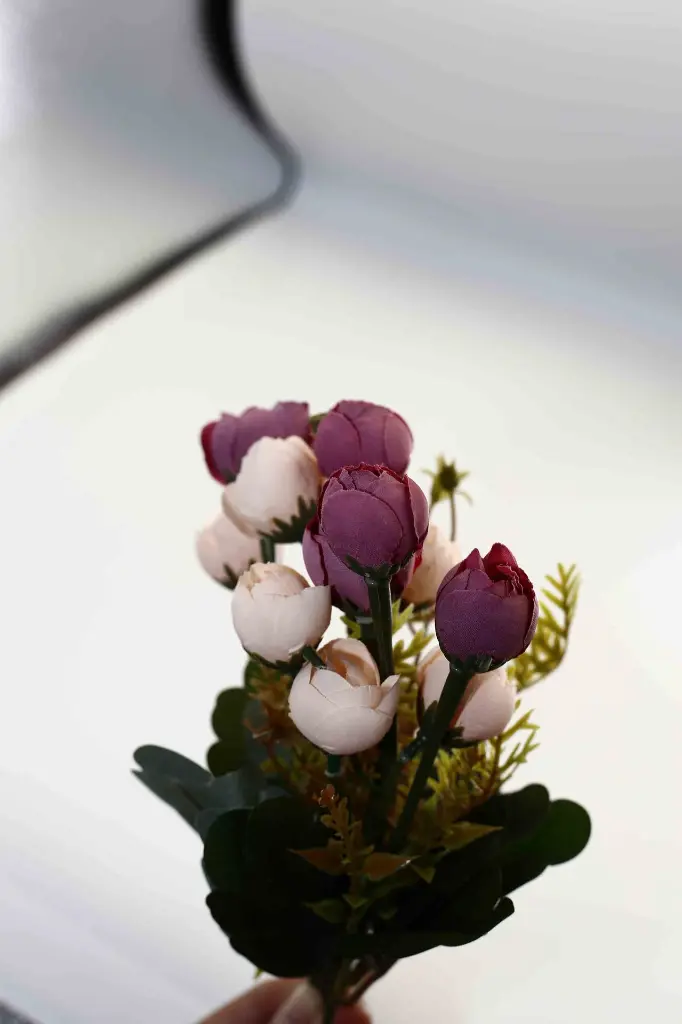 8597330046577-1.webp