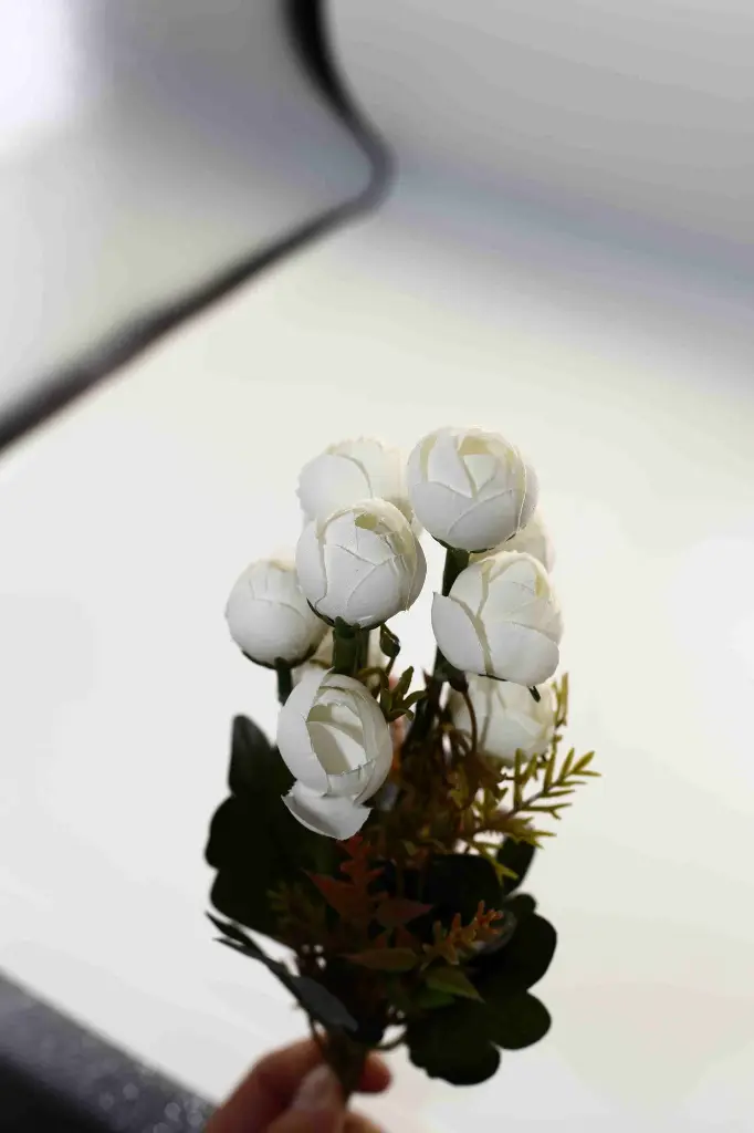 8597330046577-2.webp
