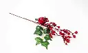 8597330106639a.webp