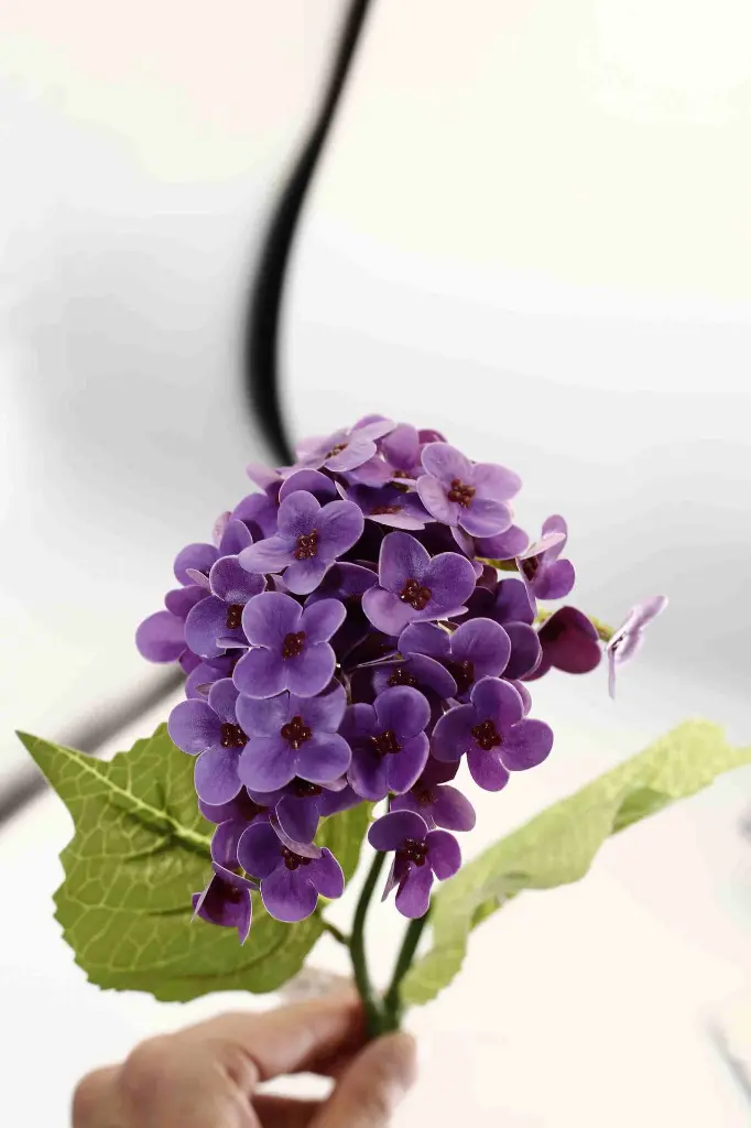 8597330068319-4.webp
