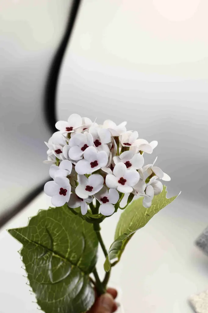 8597330068319-1.webp