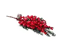 8597330109241b.webp