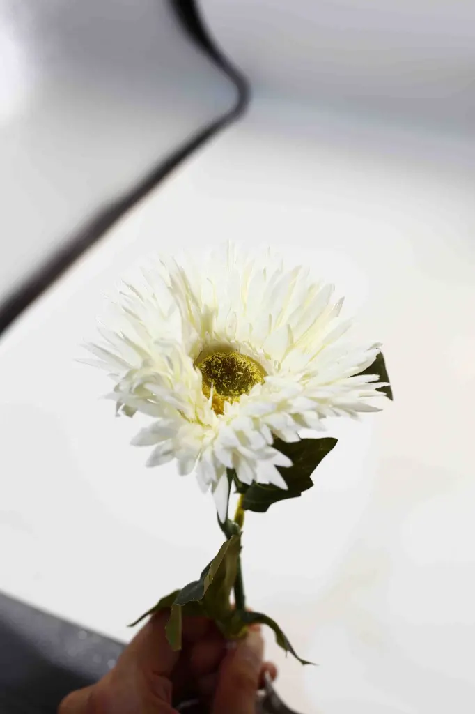 8597330068470-1.webp