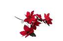 8597330108510b.webp