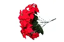 8597330108534b.webp