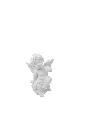 8597330086795a.webp