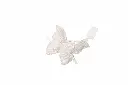8596337210004c.webp