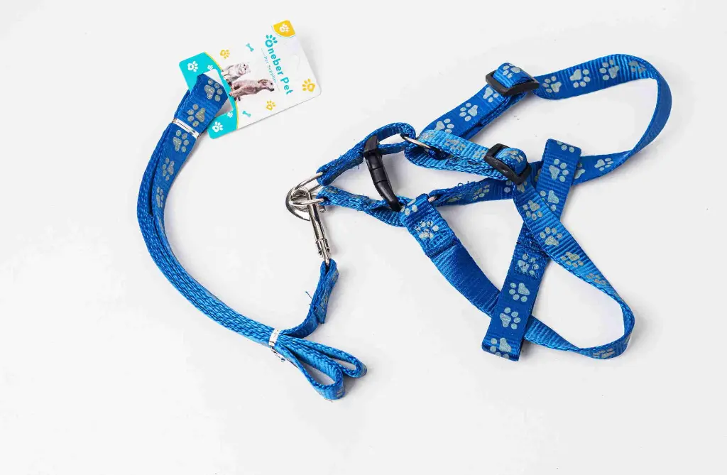 8597330026357a.webp